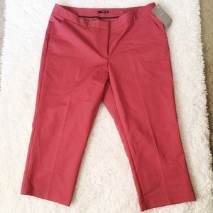 Maurices Pink Dress Capris 16